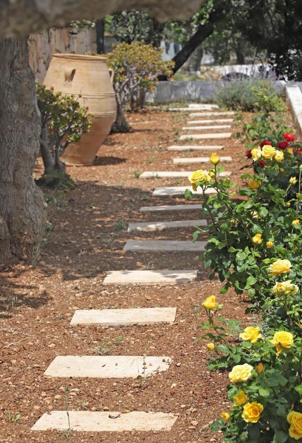 Amvikas Suites-Sitia מראה חיצוני תמונה