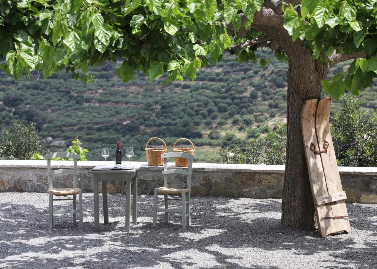 Amvikas Suites-Sitia מראה חיצוני תמונה