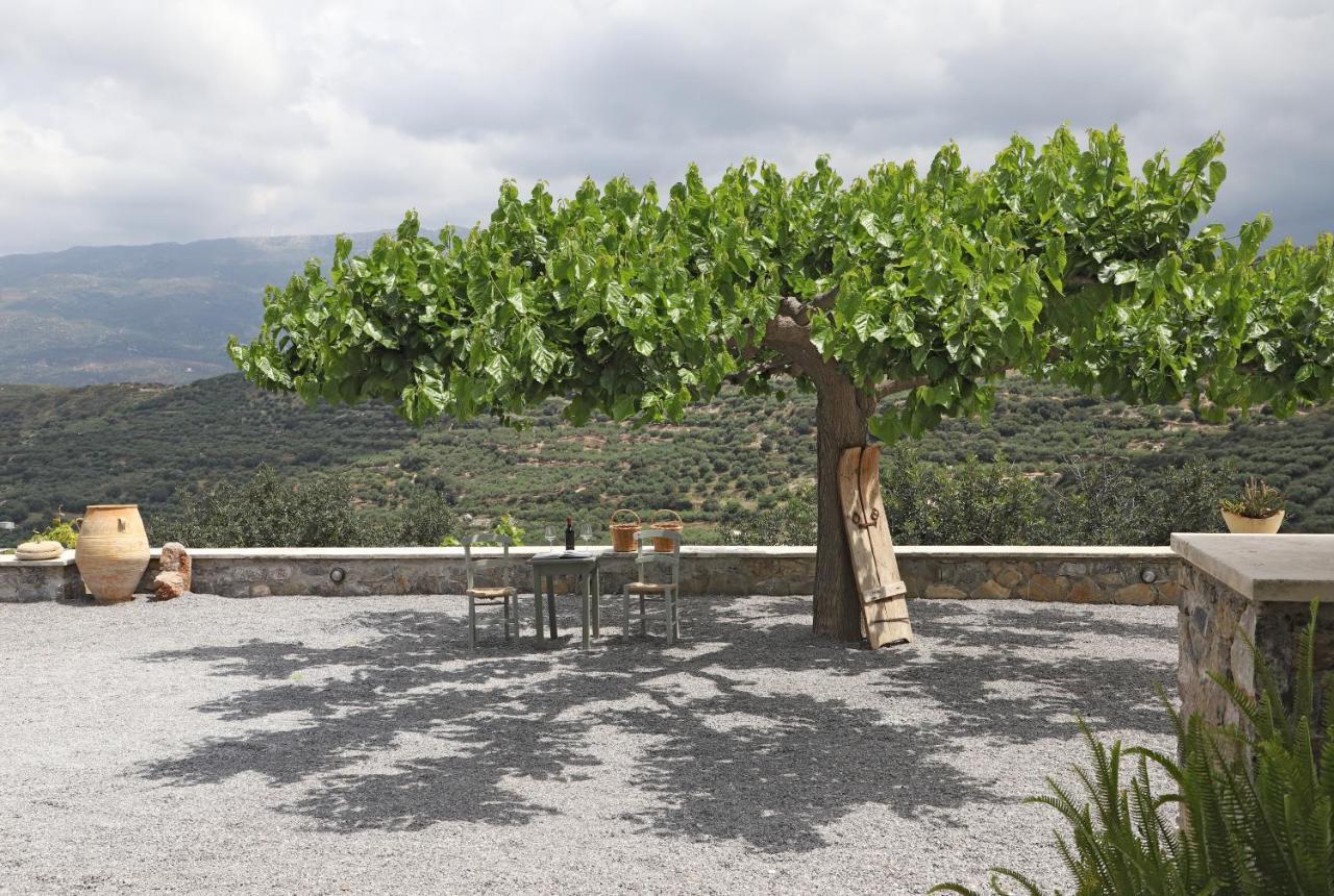 Amvikas Suites-Sitia מראה חיצוני תמונה