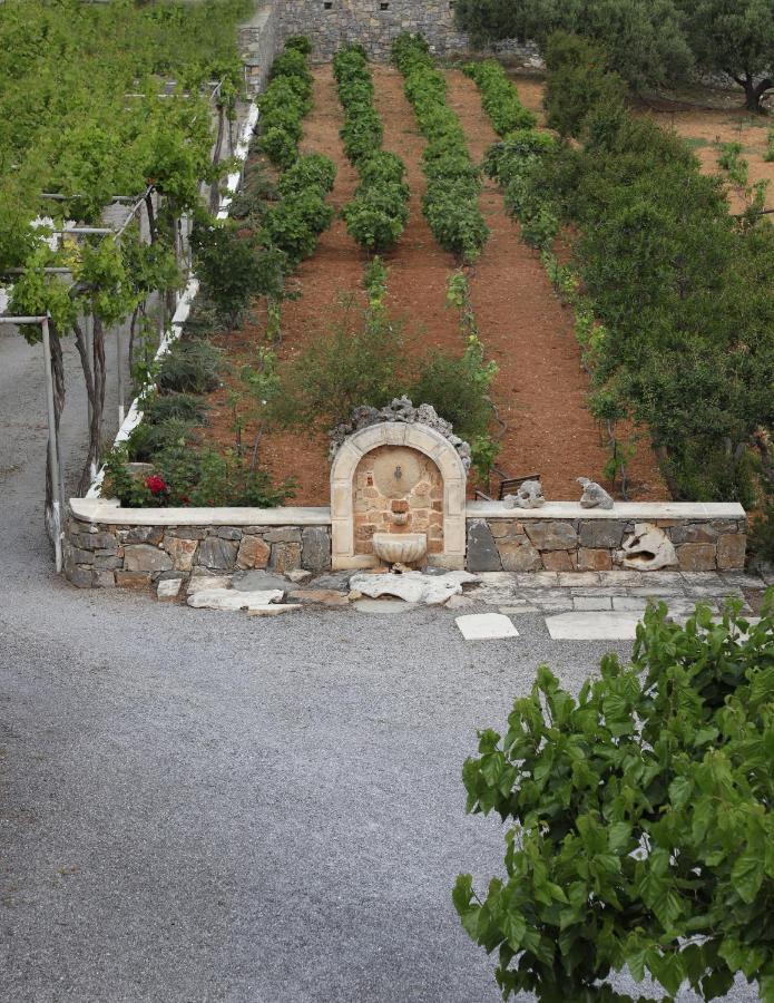 Amvikas Suites-Sitia מראה חיצוני תמונה